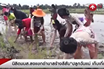 News Connect Channel : นิสิตมมส.ลงแขกดำนาสร้างสีสัน