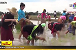 ตระเวนข่าว : ม.มหาสารคาม ลงแขกปักดำนาเฉลิมพระเกียรติ