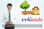 คลินิกนักกฏหมาย : EP.2 รากไม้หรือกิ่งไม้ รุกล้ำเข้ามาในที่ดิน