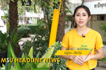 MSU HEAD LINE NEWS สรุปข่าวระหว่างเดือน มิถุนายน - กรกฎาคม 2562
