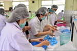 คณะเภสัชศาสตร์ มมส เร่งผลิตและบรรจุขี้ผึ้งรักษาน้ำกัดเท้า 5,000 ตลับ เตรียมแจกจ่ายประชาชนทารักษาโรคหลังเกิดน้ำท่วม