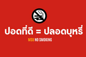 MSU No Smoking 