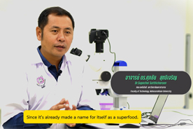 งานวิจัยและนวัตกรรม มมส (Research Innovation MSU) : ไข่ผำ - อาหารจากธรรมชาติ สู่อนาคตของวงการอาหาร